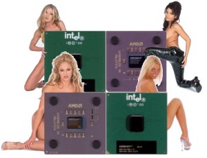 De nouvelles bimbos !